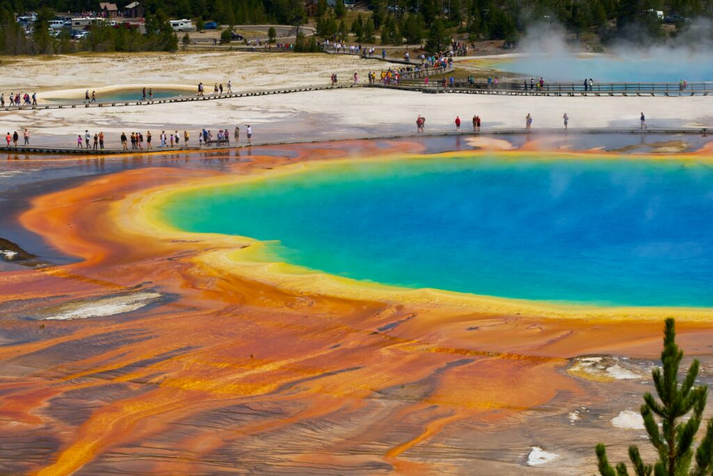 Vibrant geothermal features of Yellowstone National Park, showcasing colorful hot springs and visitors along wooden boardwalks, highlighting scenic tours offered by Teton Expeditions.