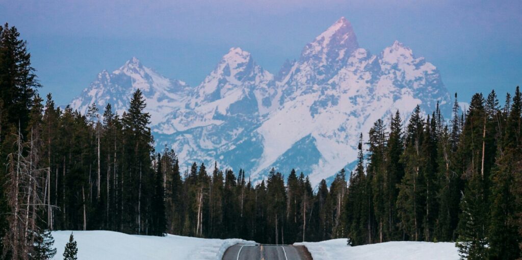 Snow-capped Teton mountains in the background with a winding road surrounded by evergreen trees, showcasing the scenic beauty of the Teton area for potential outdoor adventures with Teton Expeditions.