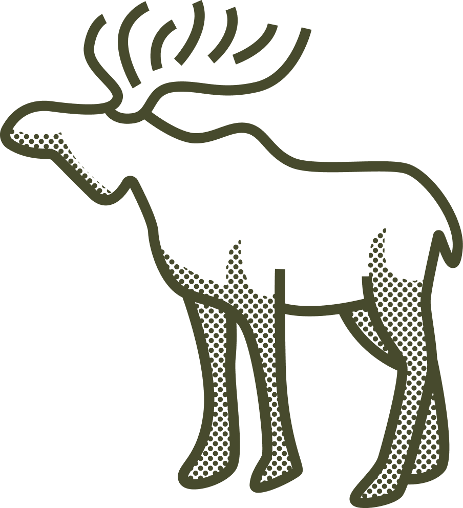 Moose illustration representing wildlife in Yellowstone and Grand Teton National Parks, emphasizing outdoor adventure and scenic tours.