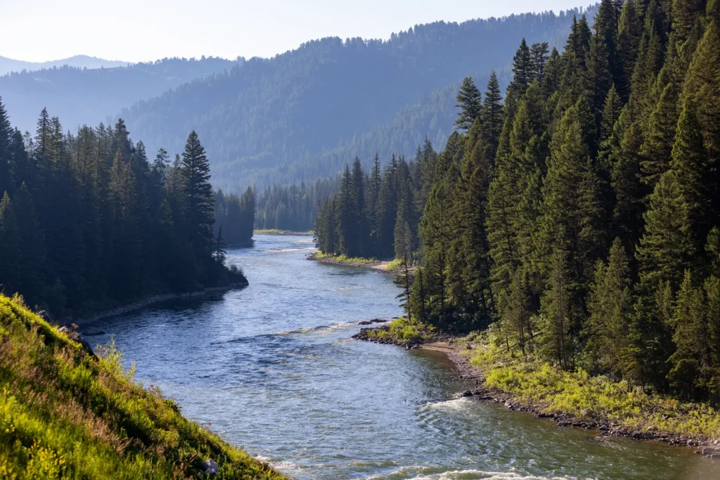 Scenic view of a winding river surrounded by lush green forests and mountains, highlighting the natural beauty of the Teton and Yellowstone areas, ideal for outdoor adventures.