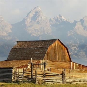 Sunset Grand Teton Wildlife Adventure