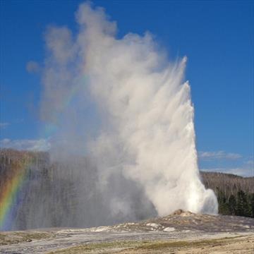 Yellowstone Discovery Tour